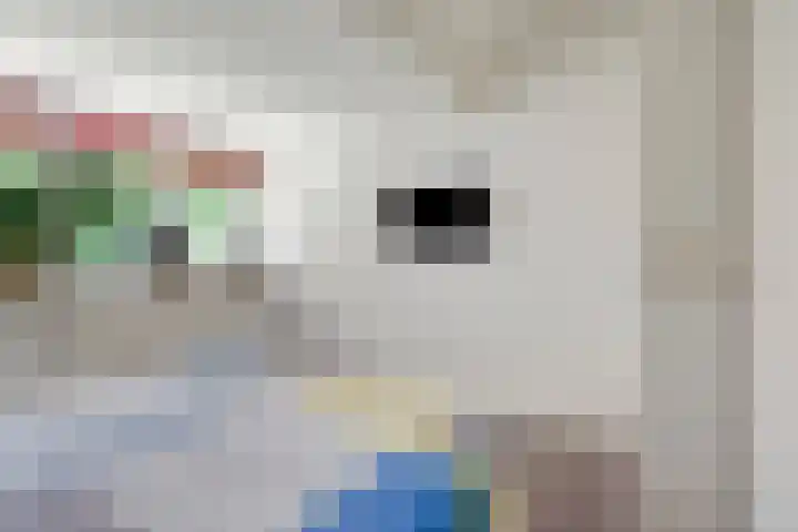 Clara Wichmannlaan 8 Nijmegen thumbnail 37