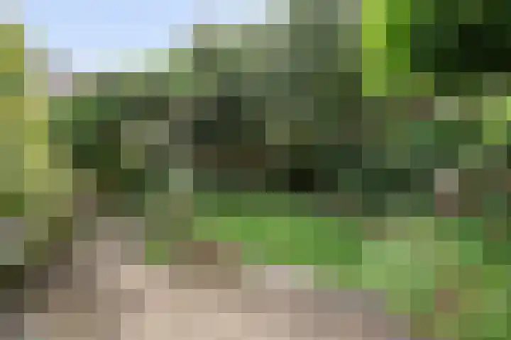 Clara Wichmannlaan 8 Nijmegen thumbnail 5