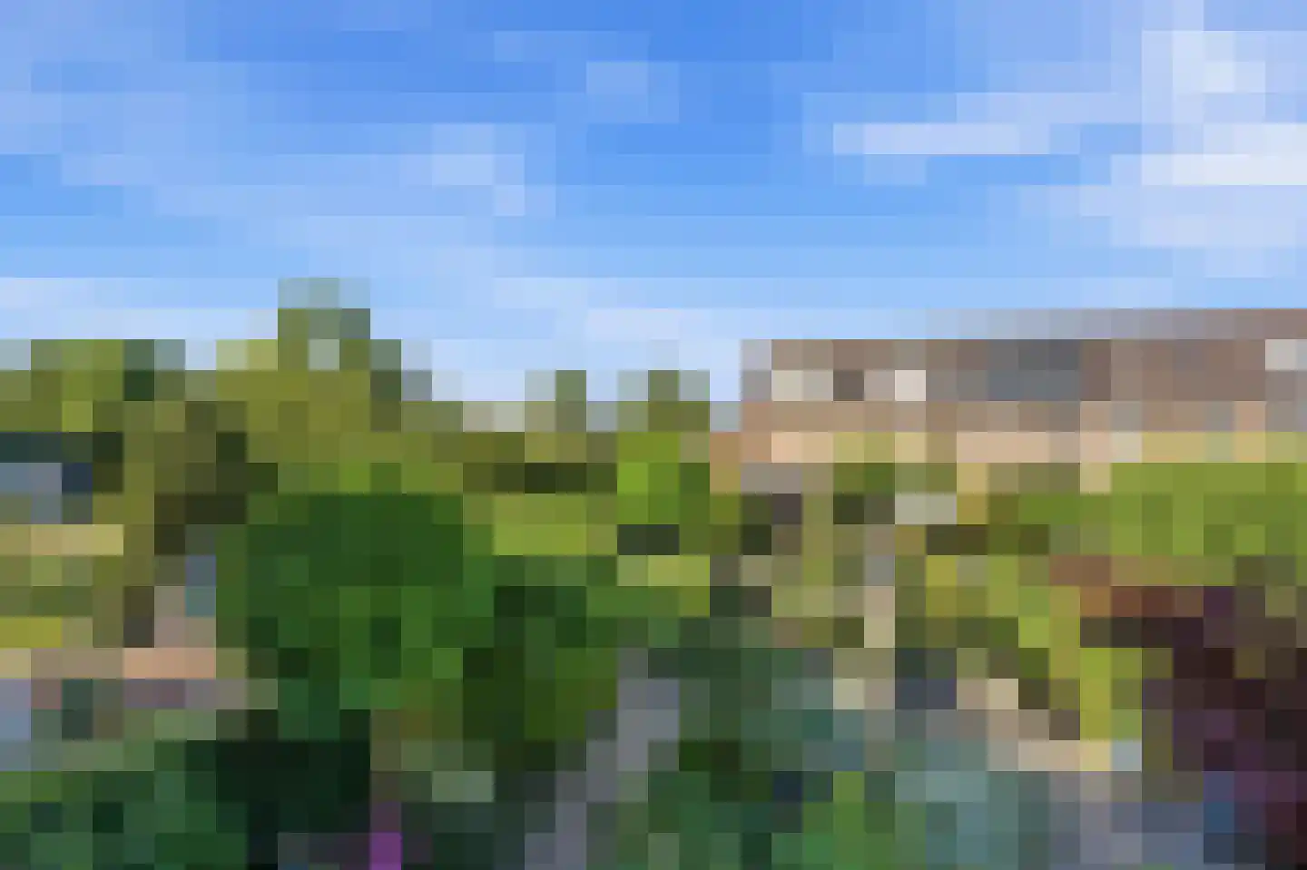 Clara Wichmannstraat 109 Ridderkerk thumbnail 15