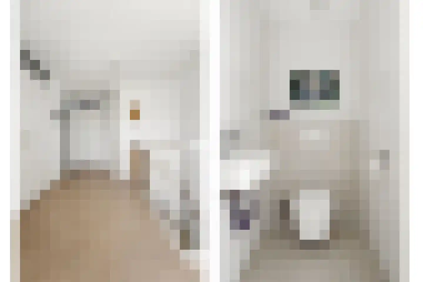 Clara Wichmannstraat 109 Ridderkerk thumbnail 27