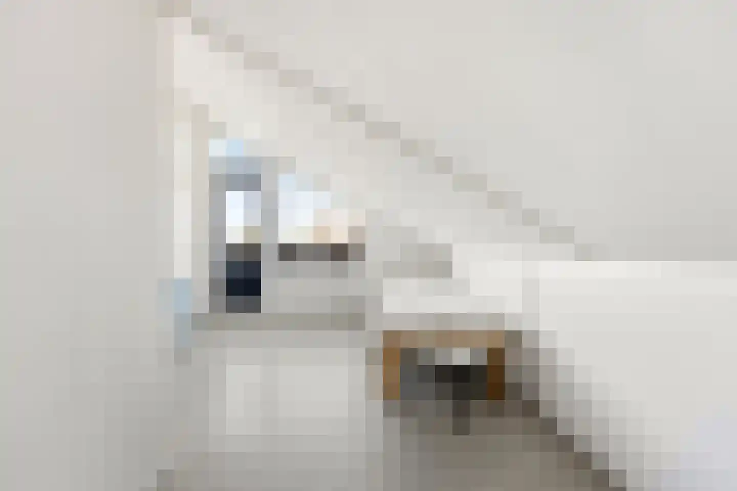 Clara Wichmannstraat 109 Ridderkerk thumbnail 28