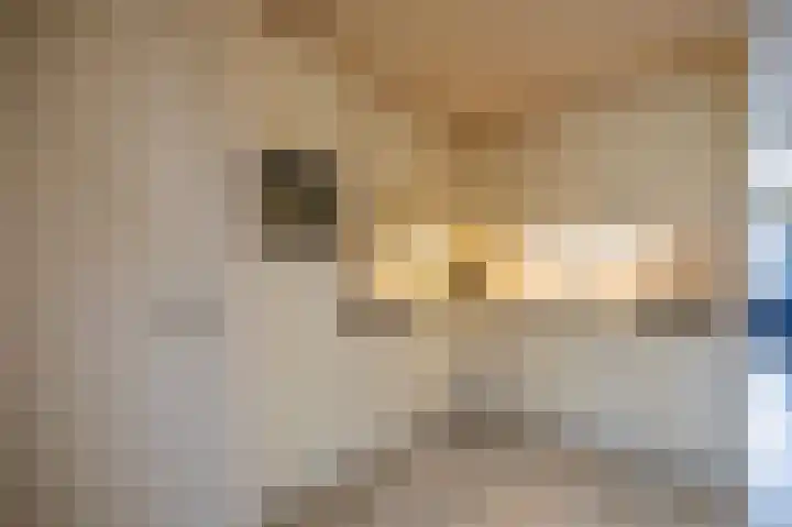 Clara Wichmannstraat 17 Venray thumbnail 13