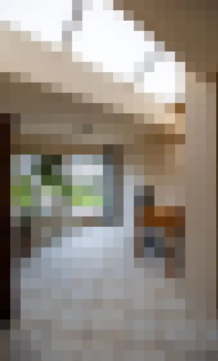 Clara Wichmannstraat 17 Venray thumbnail 18