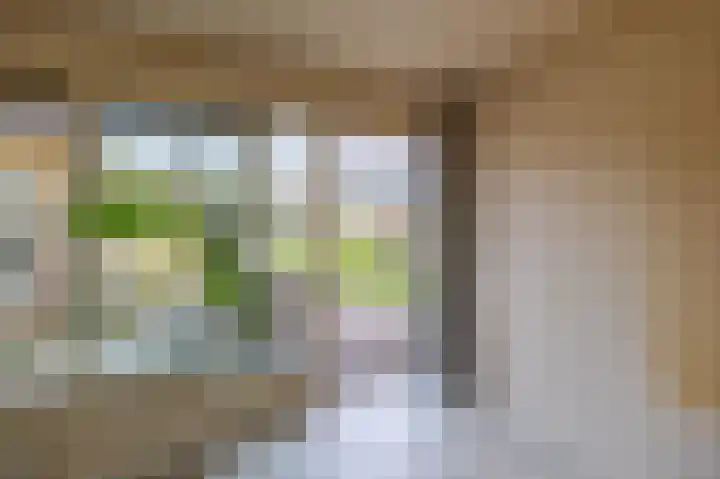 Clara Wichmannstraat 17 Venray thumbnail 20