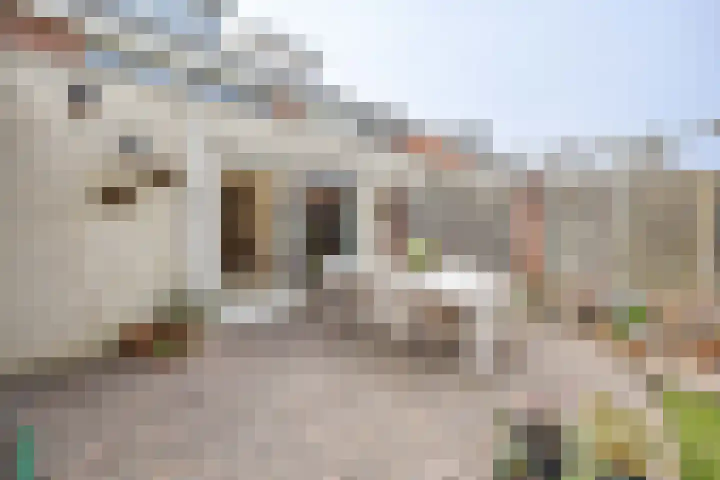 Clara Wichmannstraat 17 Venray thumbnail 45
