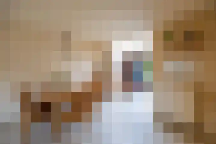 Clara Wichmannstraat 17 Venray thumbnail 6