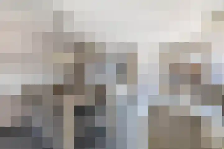 Clara Wichmannstraat 3 Spijkenisse thumbnail 15