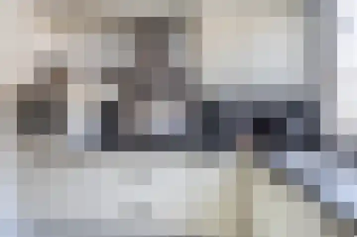 Clara Wichmannstraat 3 Spijkenisse thumbnail 17