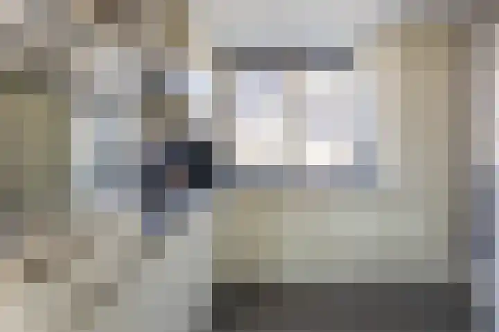 Clara Wichmannstraat 3 Spijkenisse thumbnail 18