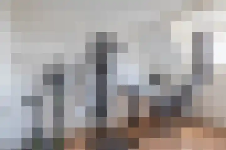 Clara Wichmannstraat 3 Spijkenisse thumbnail 35