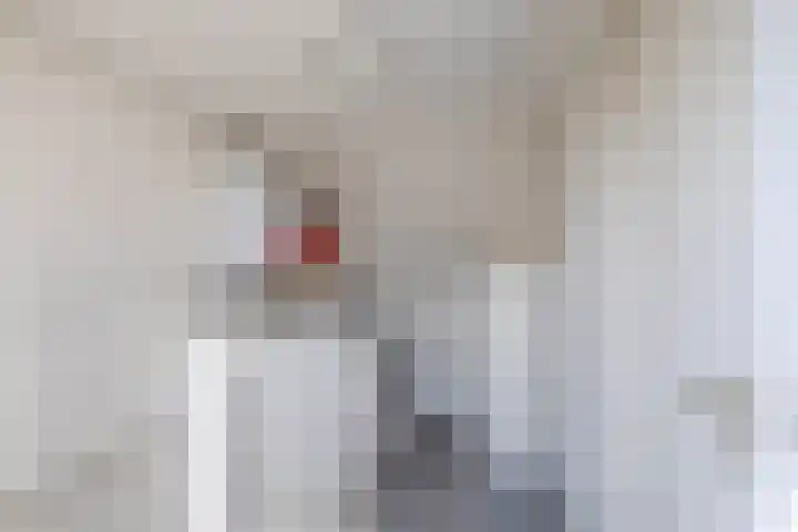 Clara Wichmannstraat 3 Spijkenisse thumbnail 37