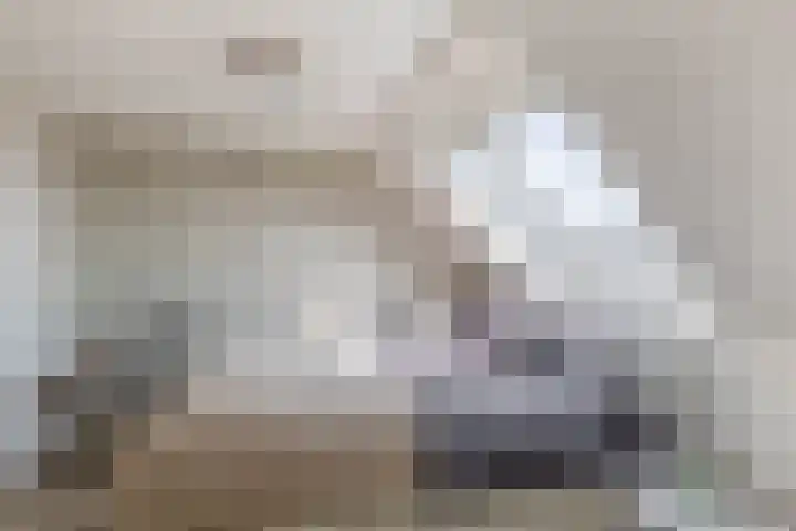 Clara Wichmannstraat 3 Spijkenisse thumbnail 39