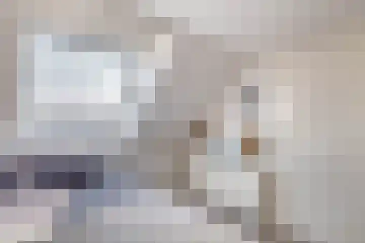 Clara Wichmannstraat 3 Spijkenisse thumbnail 41