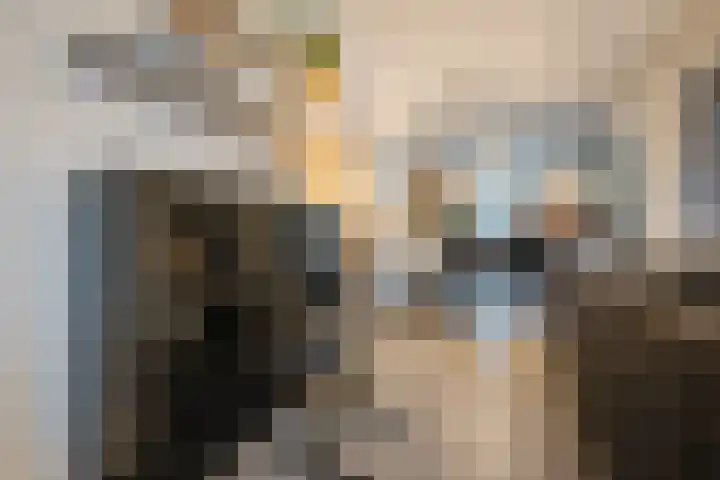 Clara Wichmannstraat 7 Rijen thumbnail 16