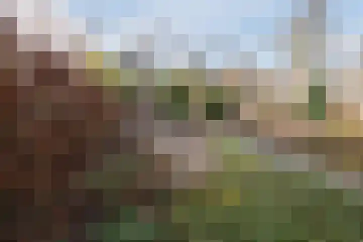 Clara Wichmannstraat 7 Rijen thumbnail 32