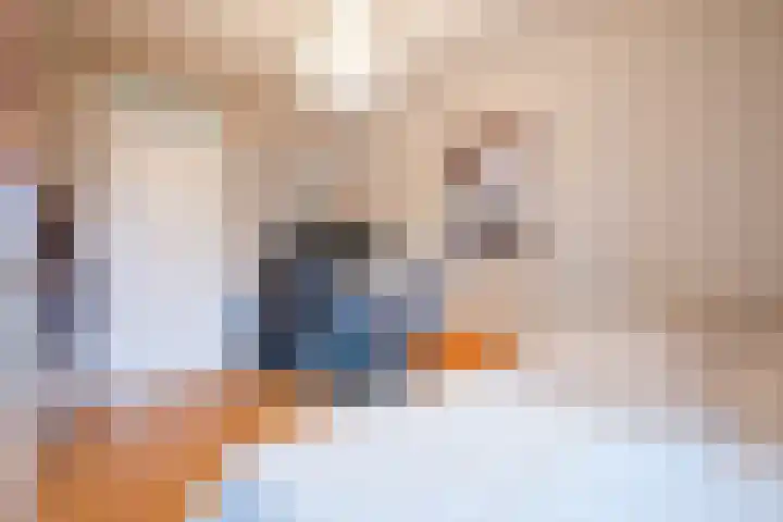 Clara Wichmannstraat 7 Rijen thumbnail 38