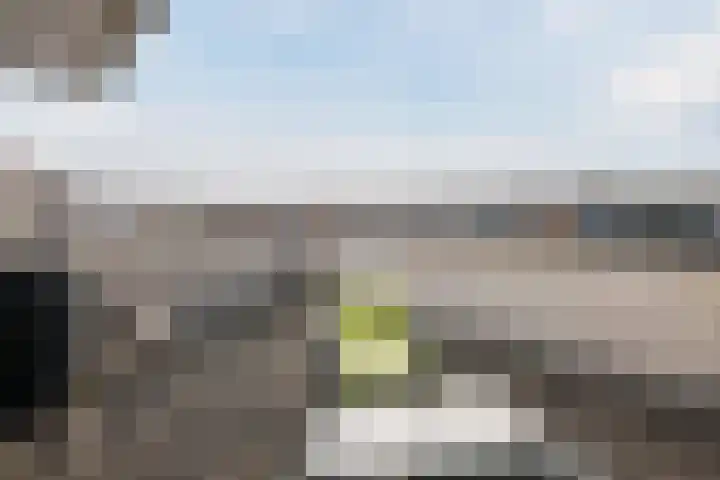 Clara Wichmannstraat 7 Rijen thumbnail 56