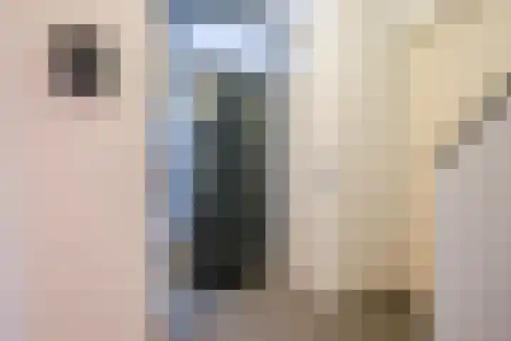 Clara Wichmannstraat 7 Rijen thumbnail 6