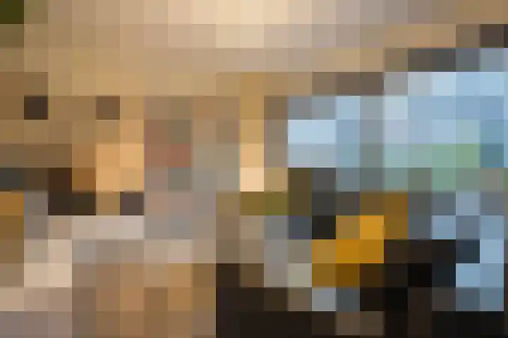 Clara Wichmannstraat 7 Rijen thumbnail 9