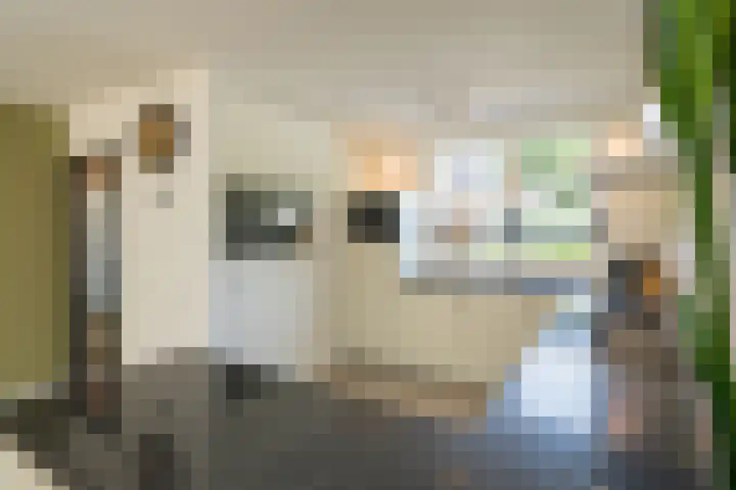 Clara Wichmannstraat 86 Ridderkerk thumbnail 15
