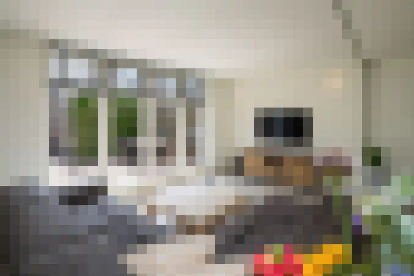 Clara Wichmannstraat 86 Ridderkerk thumbnail 5