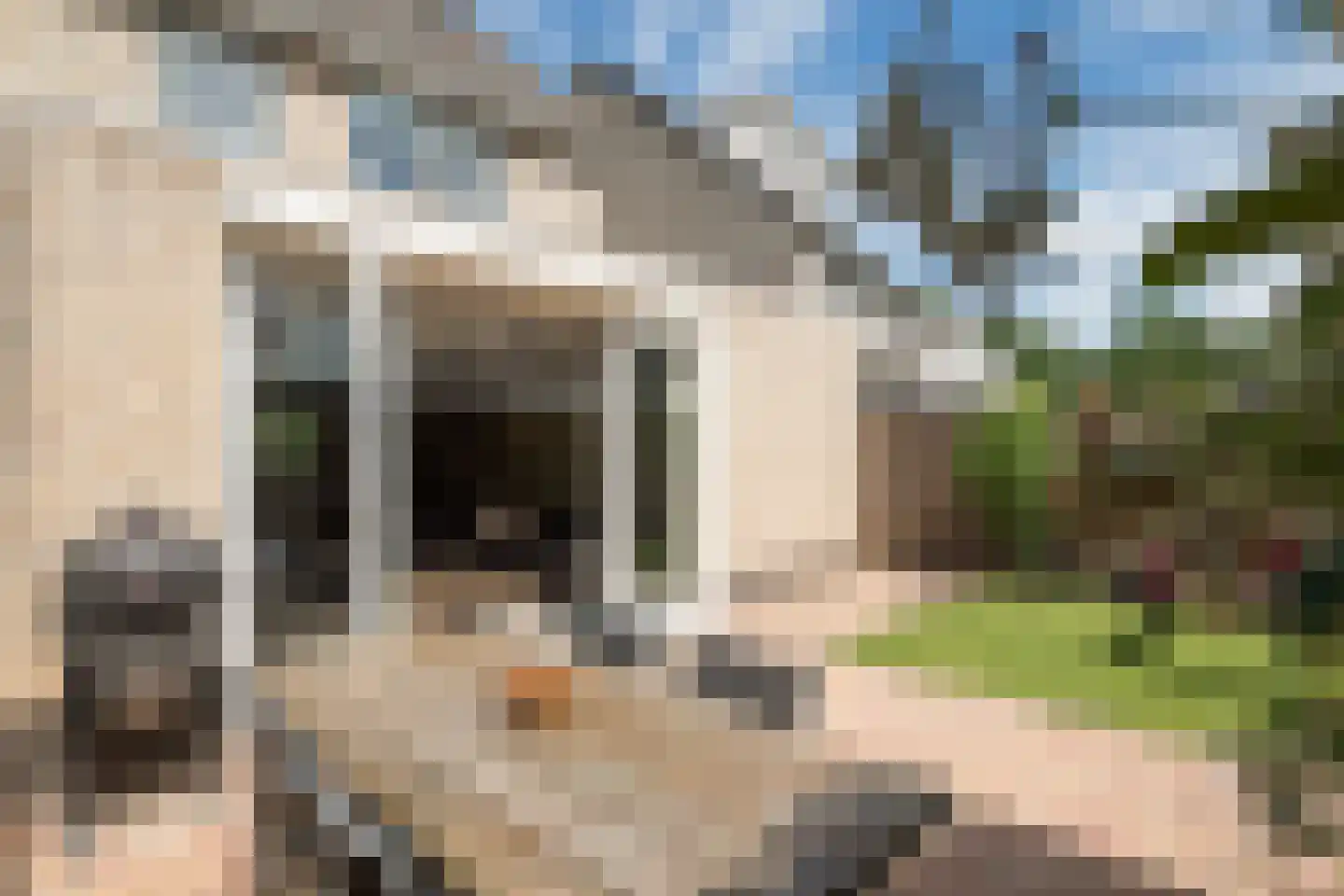 Clara Wichmannstraat 86 Ridderkerk thumbnail 9
