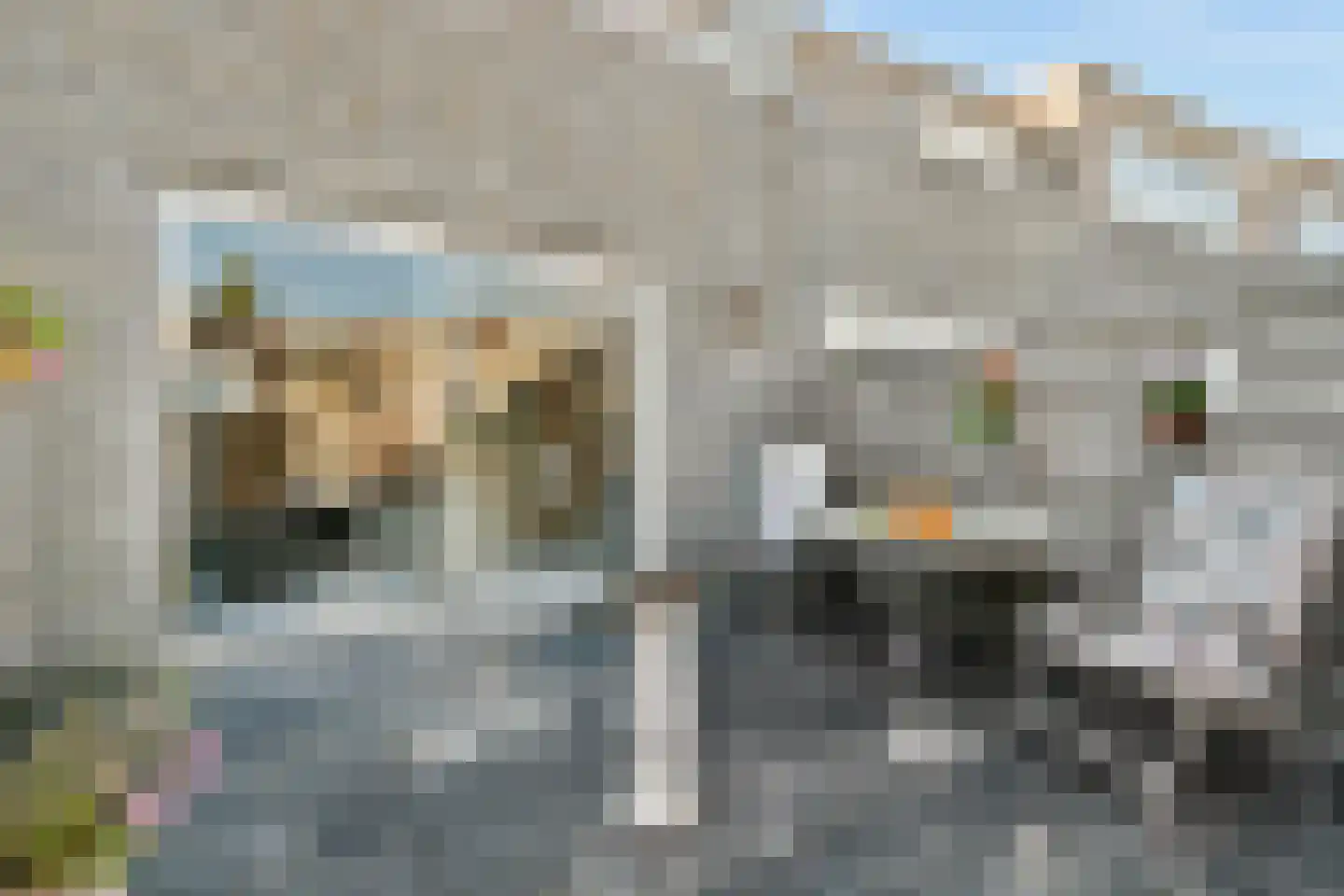 Clara Zetkinstraat 22 Amsterdam thumbnail 11