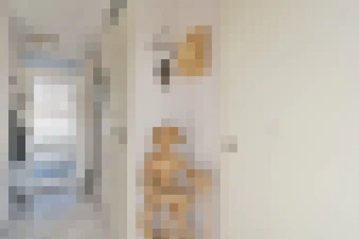 Clara Zetkinstraat 22 Amsterdam thumbnail 12