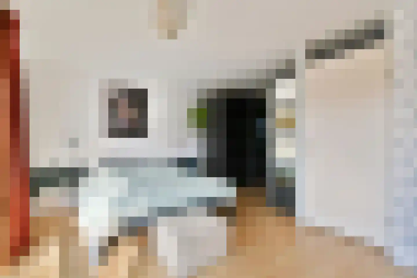 Clara Zetkinstraat 22 Amsterdam thumbnail 16