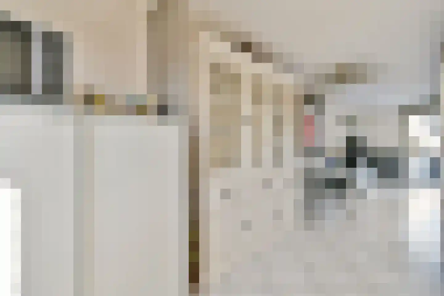 Clara Zetkinstraat 22 Amsterdam thumbnail 8