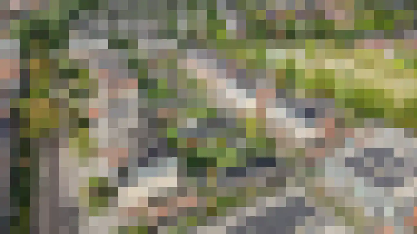 Clarapolder 17 Amersfoort thumbnail 10