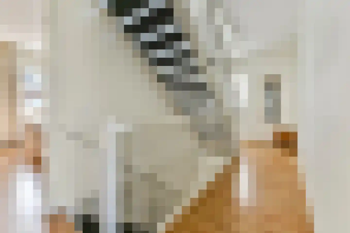 Clarapolder 17 Amersfoort thumbnail 19