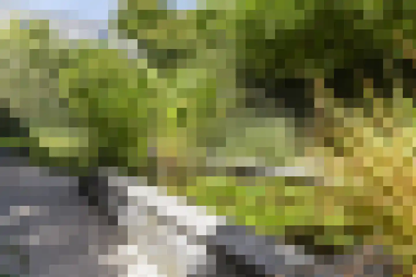 Clarapolder 17 Amersfoort thumbnail 35