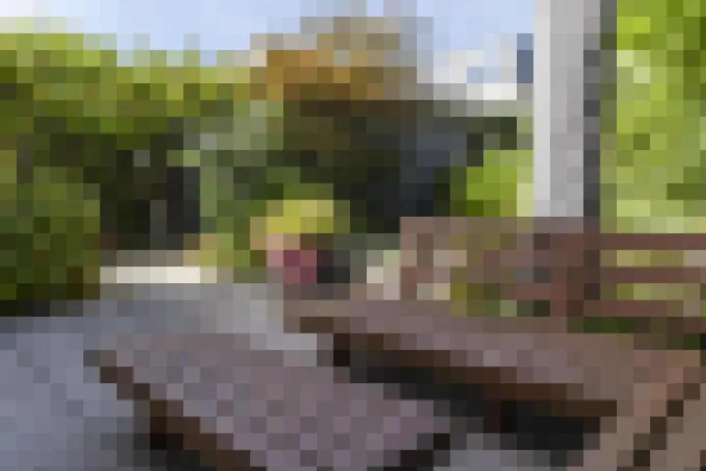 Clarapolder 17 Amersfoort thumbnail 36