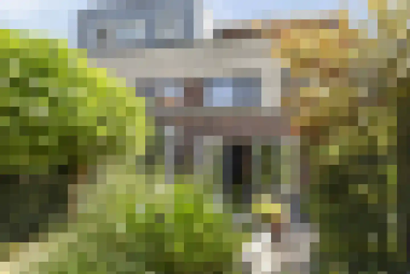 Clarapolder 17 Amersfoort thumbnail 38