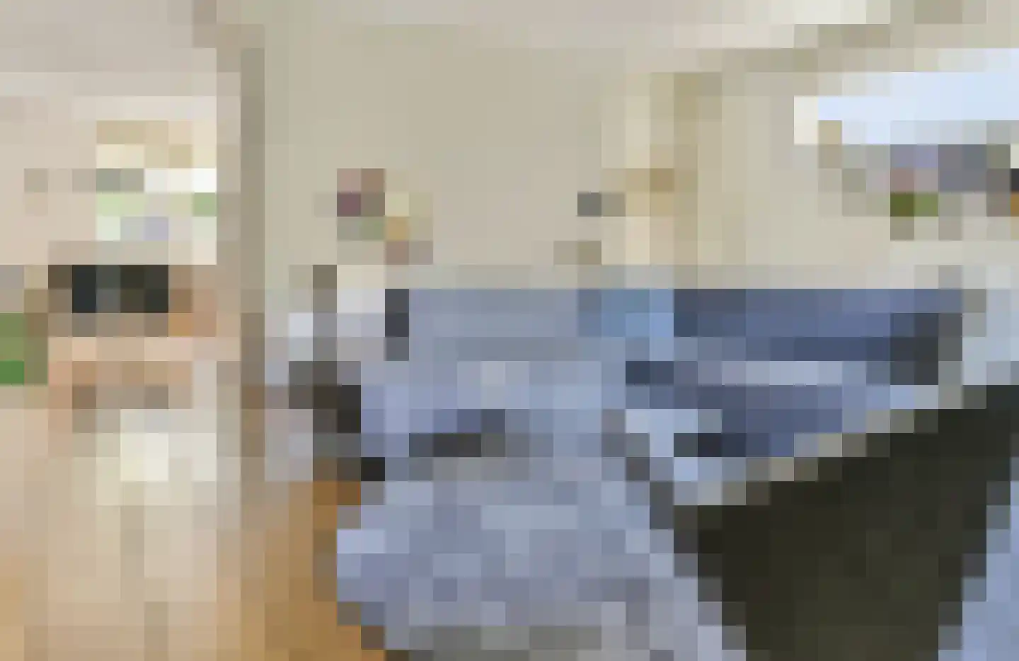 Clarapolder 17 Amersfoort thumbnail 5