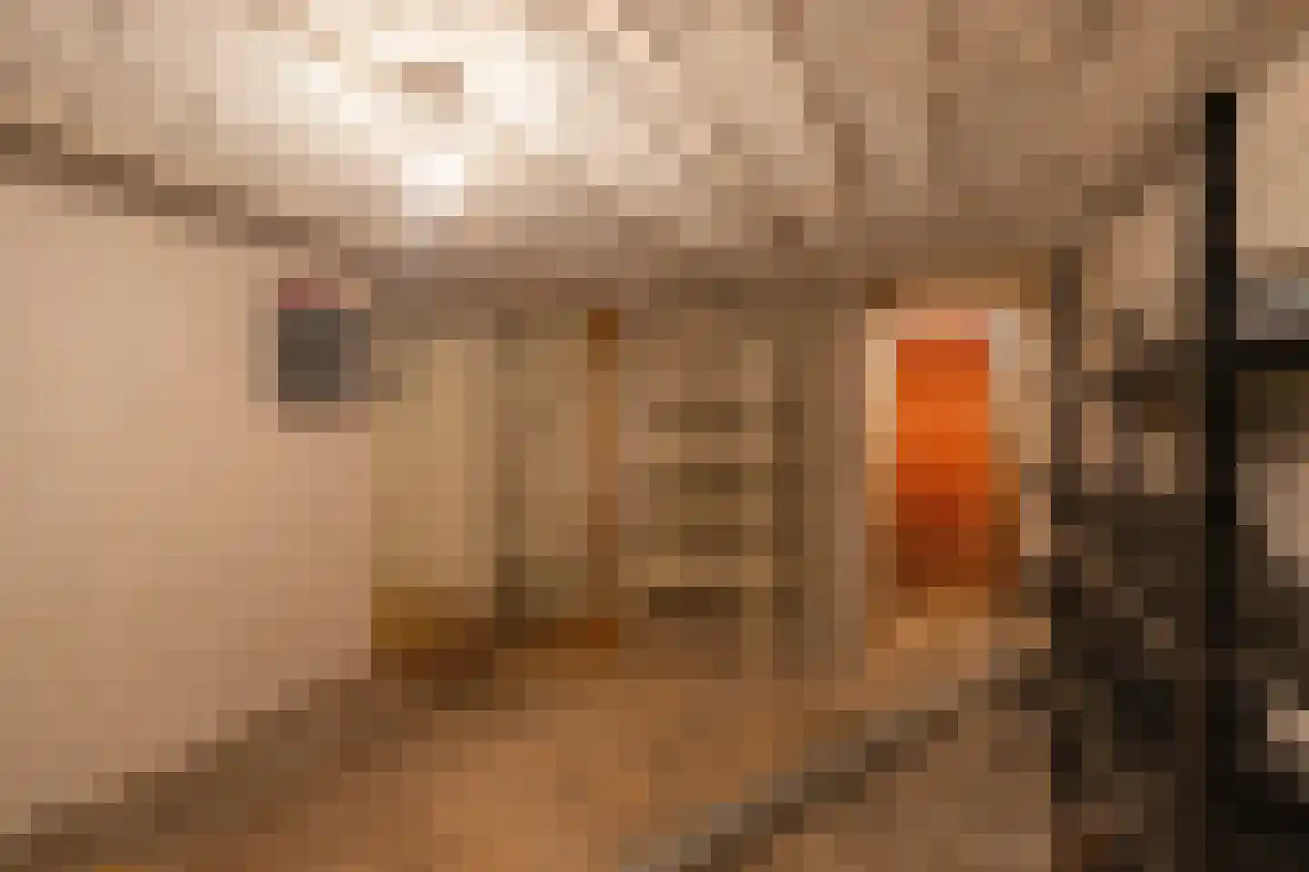 Clarastraat 14 Kerkrade thumbnail 21