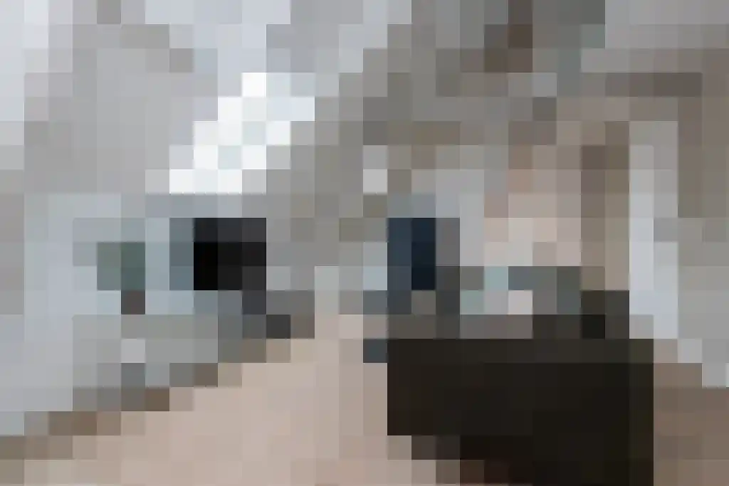 Clarastraat 174 's-Hertogenbosch thumbnail 6