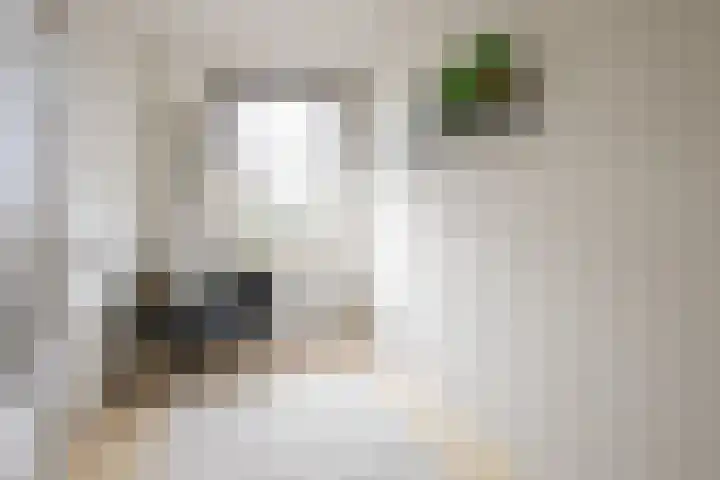 Clarastraat 20 Kerkrade thumbnail 17