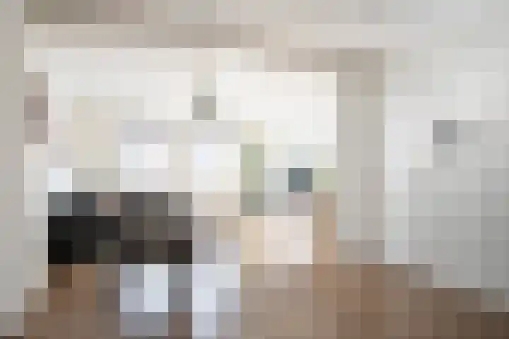 Clarastraat 20 Kerkrade thumbnail 5