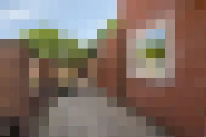 Clarastraat 22 Echt thumbnail 24