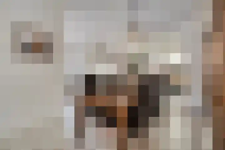 Clarastraat 22 Echt thumbnail 6