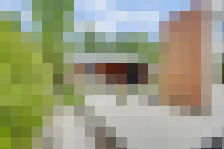Clarastraat 25 Wijchen thumbnail 35