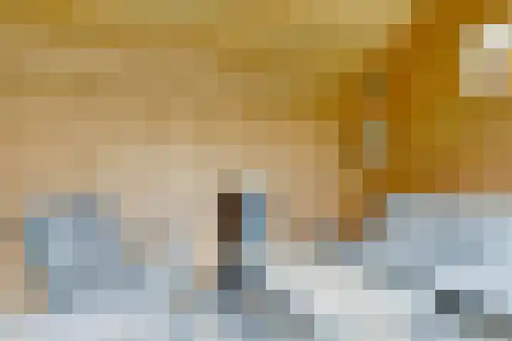 Clarastraat 25 Wijchen thumbnail 38