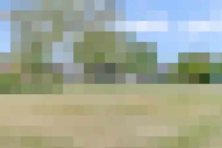 Clarastraat 25 Wijchen thumbnail 45
