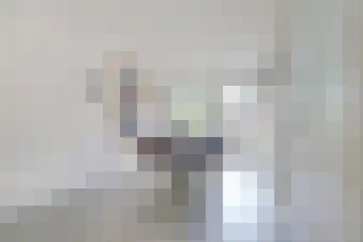 Clarastraat 25 Wijchen thumbnail 7