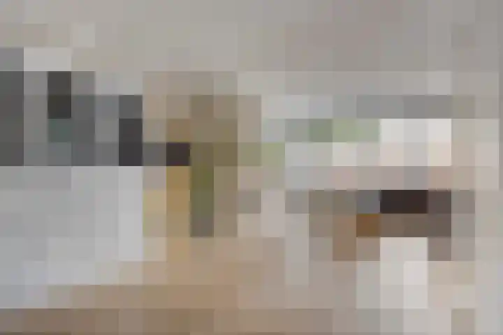 Clarastraat 31 Wijchen thumbnail 10