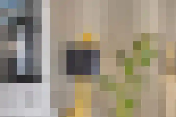 Clarastraat 31 Wijchen thumbnail 14