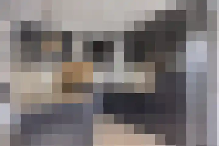 Clarastraat 31 Wijchen thumbnail 20