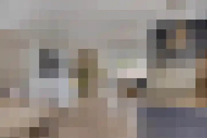 Clarastraat 31 Wijchen thumbnail 21